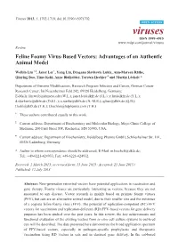 Feline Foamy Virus-Based Vectors: Advantages of an Authentic Animal Model