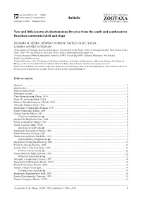 New and Little-Known Cheilostomatous Bryozoa from the South and Southeastern Brazilian Continental Shelf and Slope