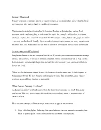 Sensory Overload Guide