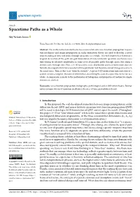 Spacetime Paths As a Whole