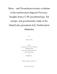 And Neoarchean Tectonic Evolution of the Northwestern