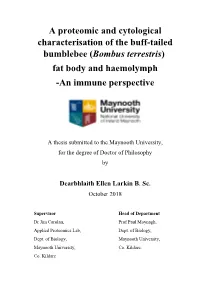 Bombus Terrestris) Fat Body and Haemolymph -An Immune Perspective