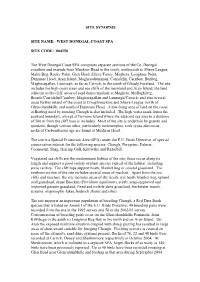 Site Synopsis