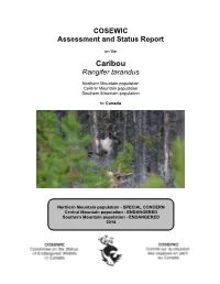 COSEWIC Assessment and Status Report on the Caribou Rangifer