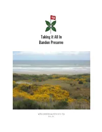 Taking It All in Bandon Preserve