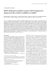 BDNF-Mediated Cerebellar Granule Cell Development Is Impaired in Mice Null for Camkk2 Or Camkiv