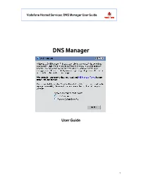 DNS Manager User Guide VF