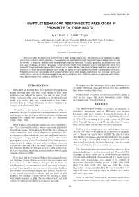 Swiftlet Behaviour Responses to Predators in Proximity to Their Nests