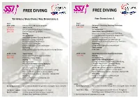 Flyer Introduction-Freediving