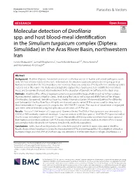 Molecular Detection of Dirofilaria Spp. and Host Blood-Meal Identification