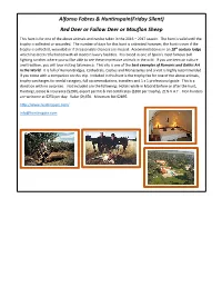 Red Deer Or Fallow Deer Or Mouflon Sheep