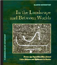 In the Landscape and Between Worlds