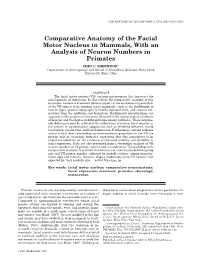 Comparative Anatomy of the Facial Motor Nucleus in Mammals, with an Analysis of Neuron Numbers in Primates