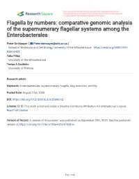Comparative Genomic Analysis of the Supernumerary Fagellar Systems Among the Enterobacterales