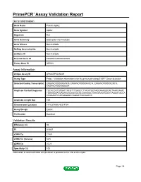 Primepcr™Assay Validation Report