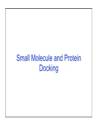 Small Molecule and Protein Docking Introduction