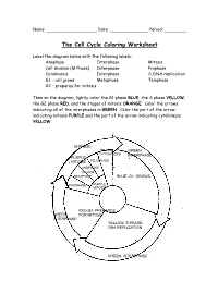 The Cell Cycle Coloring Worksheet