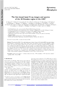 The First Broad-Band X-Ray Images and Spectra of the 30 Doradus Region