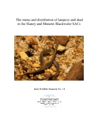 The Status and Distribution of Lamprey and Shad in the Slaney and Munster Blackwater Sacs