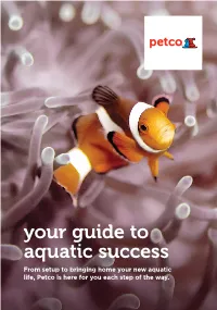 Your Guide to Aquatic Success from Setup to Bringing Home Your New Aquatic Life, Petco Is Here for You Each Step of the Way