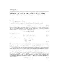 Chapter 1 BASICS of GROUP REPRESENTATIONS