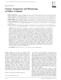 Genetic Assignment and Monitoring of Yellow Cardinals