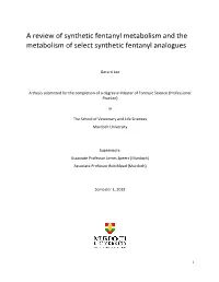A Review of Synthetic Fentanyl Metabolism and the Metabolism of Select Synthetic Fentanyl Analogues