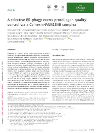 A Selective ER-Phagy Exerts Procollagen Quality Control Via a Calnexin-FAM134B Complex