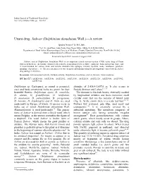 Delphinium Denudatum Wall.)—A Review