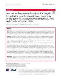 Leeches As the Intermediate Host for Strigeid Trematodes: Genetic