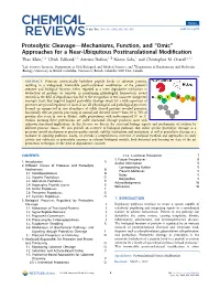 Proteolytic Cleavage—Mechanisms, Function, and “Omic
