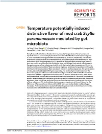 Temperature Potentially Induced Distinctive Flavor of Mud Crab Scylla Paramamosain Mediated by Gut Microbiota