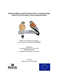 2004 Review of Implementation of Plans