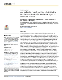 Are Pollinating Hawk Moths Declining in the Northeastern United States? an Analysis of Collection Records