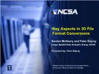 Key Aspects in 3D File Format Conversions