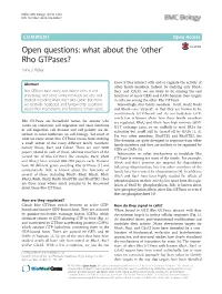 Open Questions: What About the 'Other' Rho Gtpases?