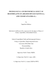 Physiological and Biochemical Effect of Biostimulants on Abelmoschus Esculentus (L.) and Cleome Gynandra (L.)