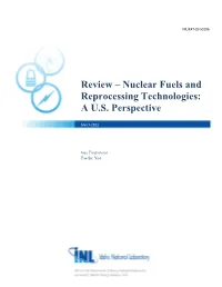 Nuclear Fuels and Reprocessing Technologies: a US Perspective