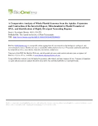 A Comparative Analysis of Whole Plastid