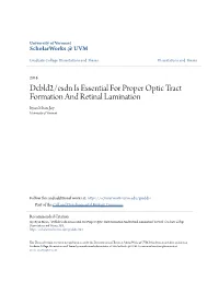 Dcbld2/Esdn Is Essential for Proper Optic Tract Formation and Retinal Lamination Ryan Mears Joy University of Vermont