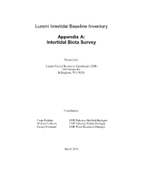 LIBI Appendix A