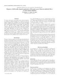 (Panicum Antidotale Retz.) to Water Deficit Conditions