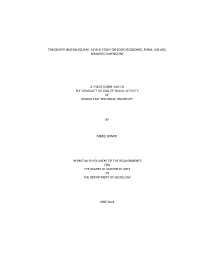 Taksim Republican Square: a Field Study on Socio‐Economic, Form, Use and Meaning Dimensions