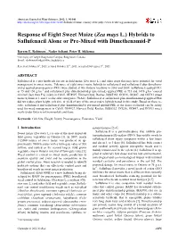 (Zea Mays L.) Hybrids to Saflufenacil Alone Or Pre-Mixed with Dimethenamid-P