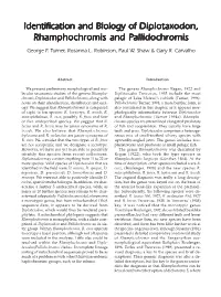 Identification and Biology of Diplotaxodon, Rhamphochromis and Pallidochromis