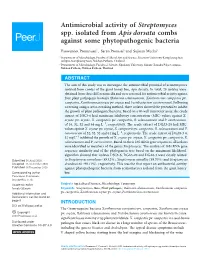 Antimicrobial Activity of Streptomyces Spp. Isolated from Apis Dorsata Combs Against Some Phytopathogenic Bacteria