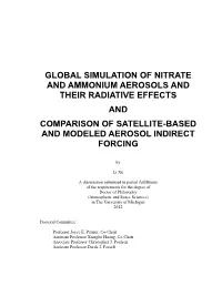 Global Simulation of Nitrate and Ammonium Aerosols and Their Radiative Effects and Comparison of Satellite-Based and Modeled Aerosol Indirect Forcing