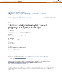 Global Spread of Wheat Curl Mite by Its Most Polyphagous and Pestiferous Lineages A