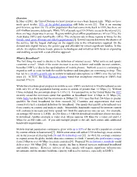 Overview in May of 2011, the United Nations Declared Internet Access a Basic Human Right