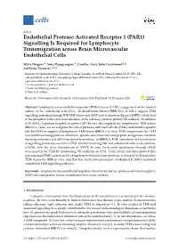 Endothelial Protease Activated Receptor 1 (PAR1) Signalling Is Required for Lymphocyte Transmigration Across Brain Microvascular Endothelial Cells